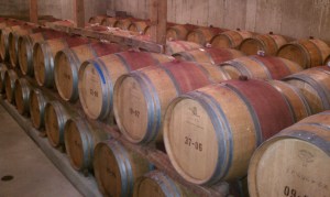 Plenty of wine to go around