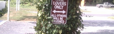 You better like wine at Comtesse Therese