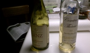 Lenz and Comtesse Therese