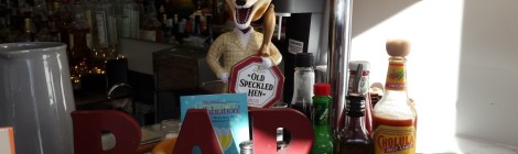 Shellabration is a party