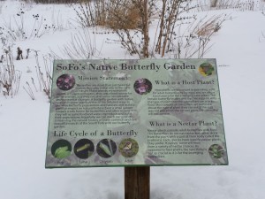 SOFO butterfly garden