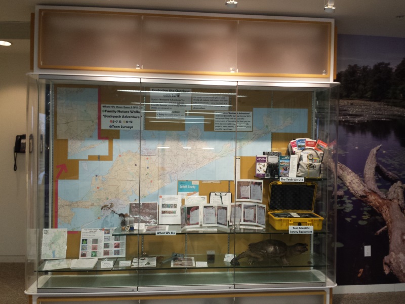 display materials SOFO