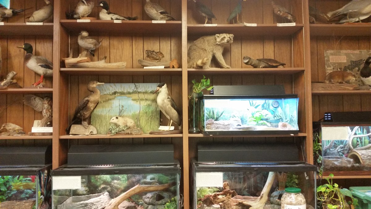 quogue wildlife refuge