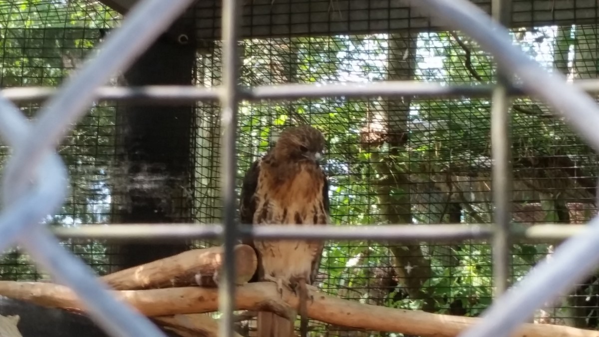 quogue wildlife refuge