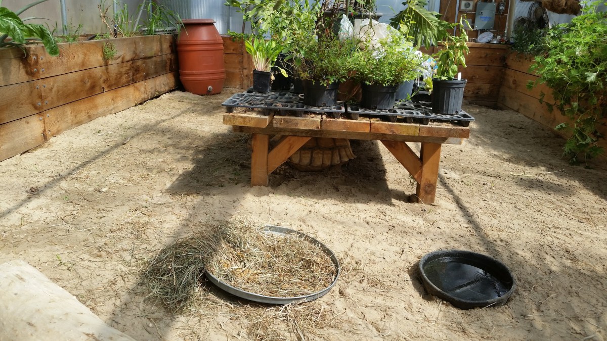 quogue wildlife refuge